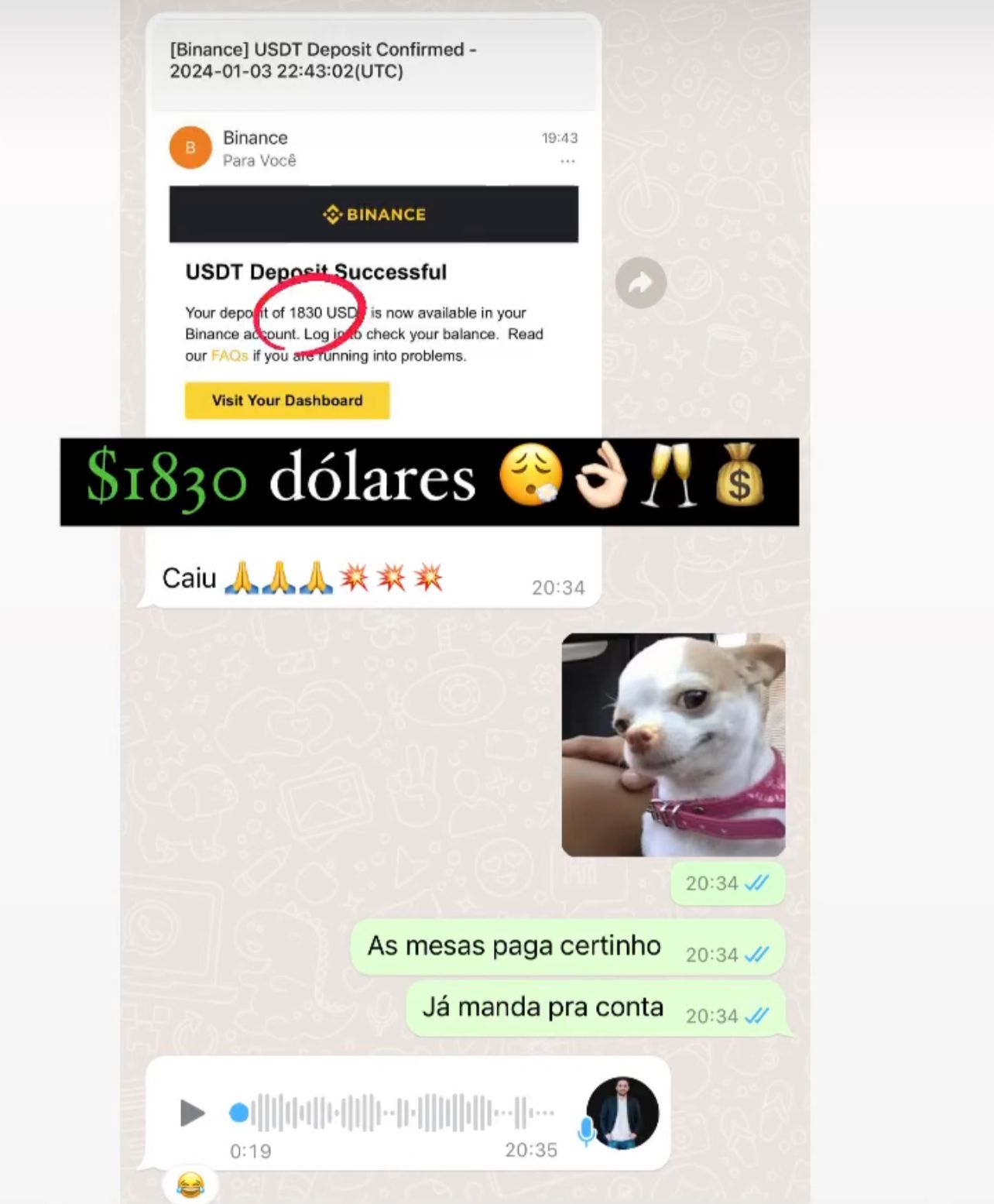 Imagem do WhatsApp de 2025-05-14 à(s) 11.26.31_8feccffc